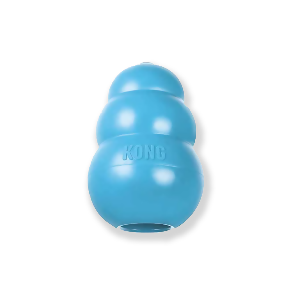 צעצוע KONG Puppy כחול מידה M – צבע עשוי להשתנות